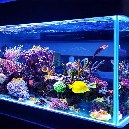 10/20/30/50 Stück Miniatur leuchtende sechseckige Drachenfigur Dekorative Basteldekoration Schreibtischornament Aquarium Gartendekoration