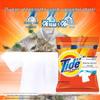 Tide Laundry Detergent & Rapeseed Oil Bundle