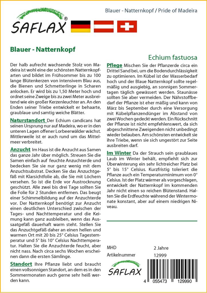 SAFLAX Pride of Madeira - 100 semen - Echium fastuosa