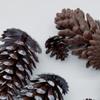 Kiefernzapfen Weihnachten, Weihnachtsfest, Künstliche Kiefernzapfen im nordischen Stil, Festivaldekorationsprodukte