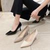 7-5 Simple solid color pointed thin heel high heels spring new high heel single shoes women