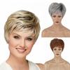Natural Fluffy Short Pixie Hair Wig With Bangs Matte High Temperature Fiber Comfortable All Day Wear Women Daily Hairpiece Wig