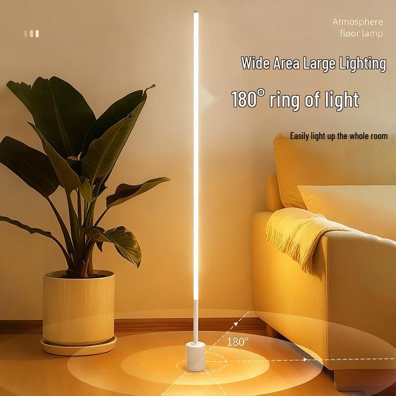 Oeny Modern Minimalist Floor Lamp