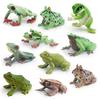 Animal Figure Pvc Model Set With Lifelike Frogs For Kids Learning And Display