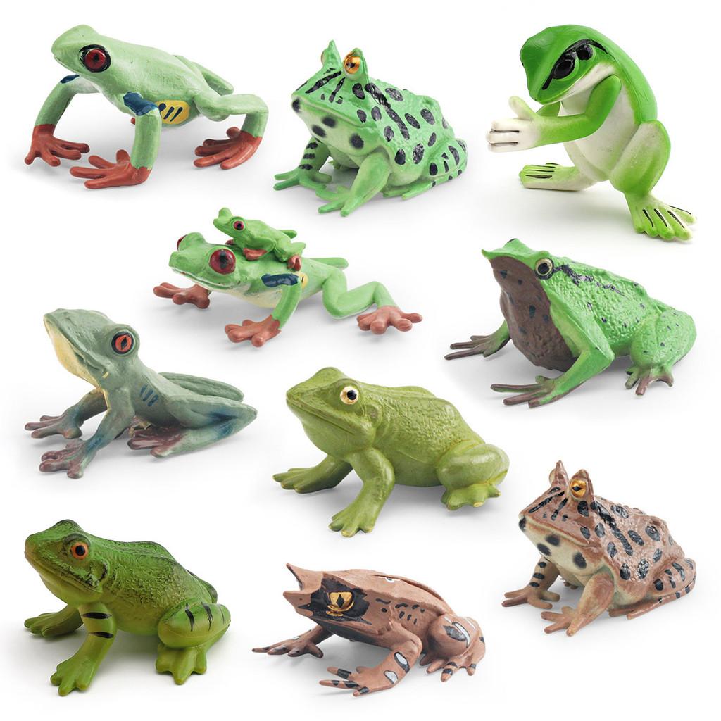 Animal Figure Pvc Model Set With Lifelike Frogs For Kids Learning And Display