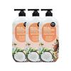 Real Moisture Coconut Almond Scent Body Wash 900ml X 3 (15235937)