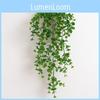 Plant Wall Eucalyptus Plastic Leaves Interior Design Photography Scenes