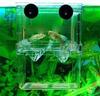 Multifunktionale Fischzucht-Isolationsbox für Fischaquarien, hochtransparent, Aquarium-Züchter-Fischtank, doppelte Guppy-Schlupf-Brutbox