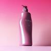Shiseido Professional Aqua Repair & Luminous Color Shampoo Set
