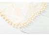 2025 Summer Elegant Chinese Lace Shawl Cardigan for Weddings and Meetings