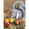 5D DIY diamantová malba Zvířecí veverka Umělecká sada křížového stehu Kamínkový obrázek Úplné diamantové vyšívání Mozaikové dekorace dárek