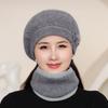 Winter Ladies Warm Knitted Wool Hat Thickened Warm Rabbit Hair Beret