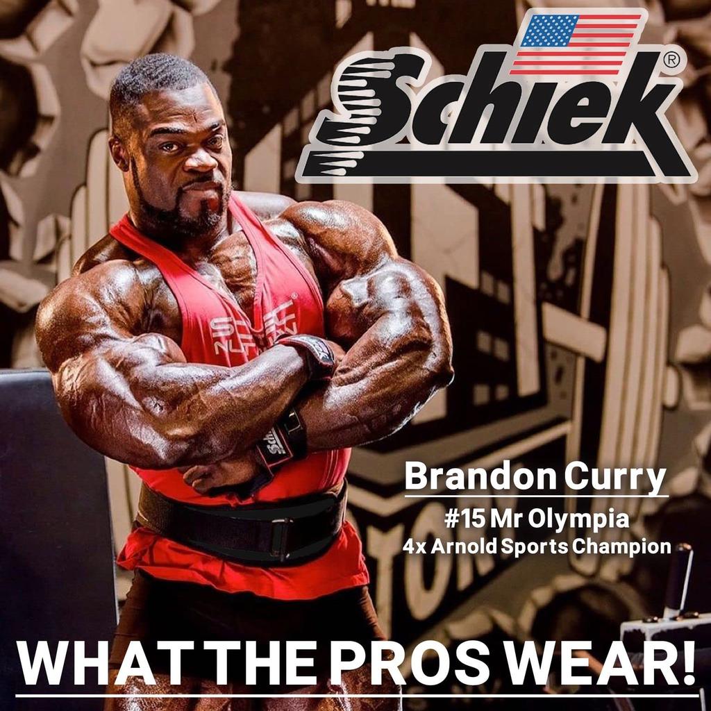 Schiek Lifting Belt 2006 Black No. Large, [Training Belt]