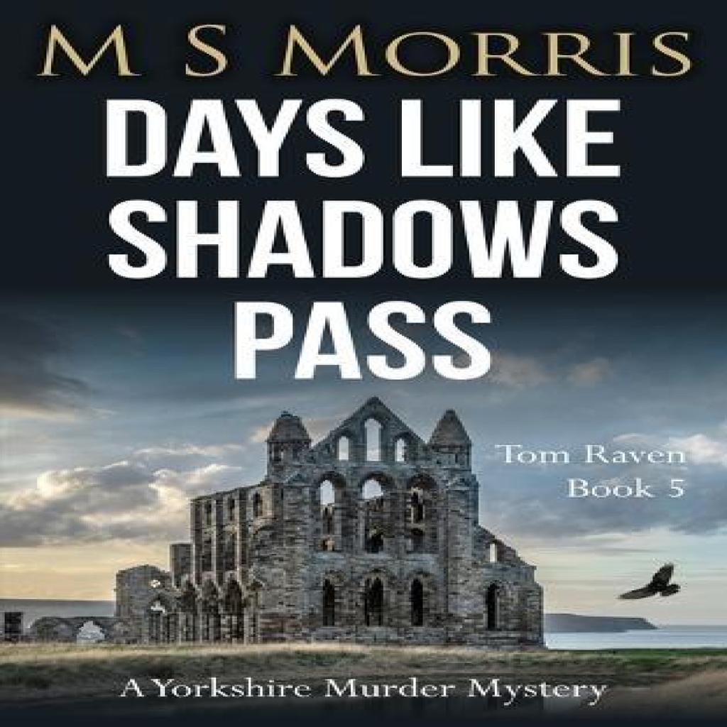 Days Like Shadows Pass by M S Morris Paperback Book 9781914537301