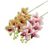 One Real Touch Butterfly Orchid Flower Branch Seven Heads Artificial Moth Phalaenopsis Orchid