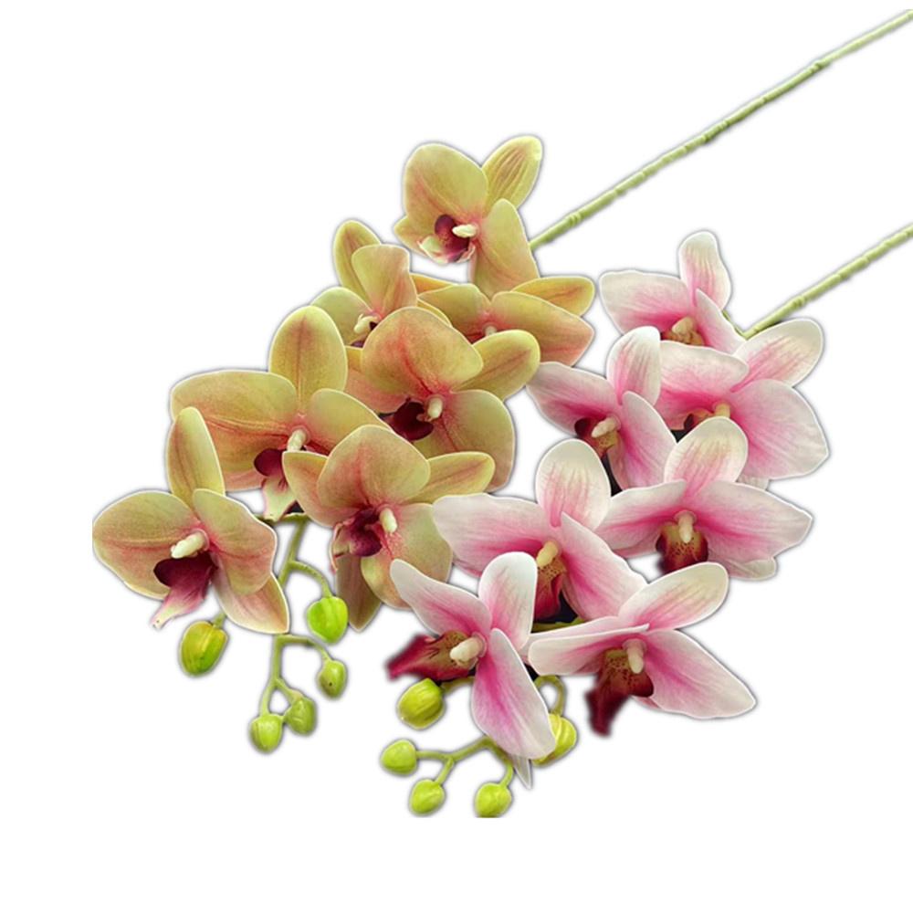 One Real Touch Butterfly Orchid Flower Branch Seven Heads Artificial Moth Phalaenopsis Orchid