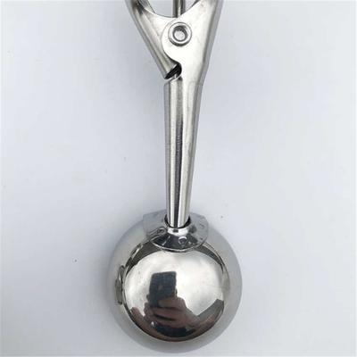 Stainless Steel Ice Cream Spoon