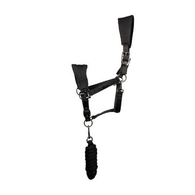 Equestrian Sport – Bridles & Reins