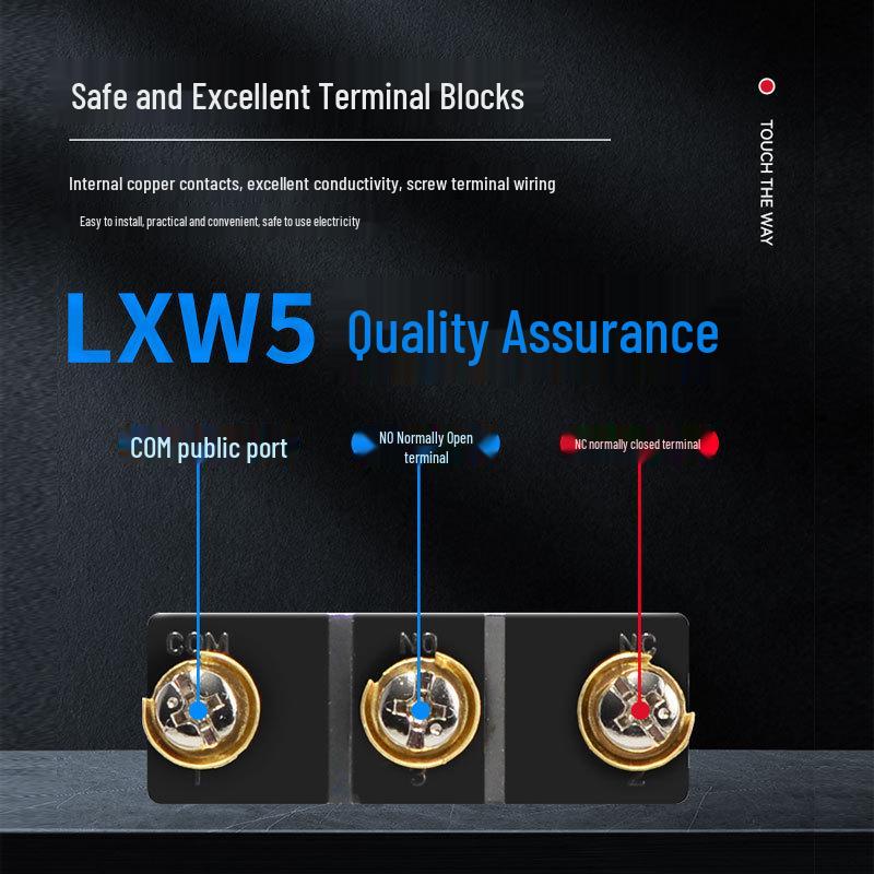 Delixi LXW5 Series Micro Switch: Travel Limit Models G1, G2, 11M, 11N1, 11Q1, 11Q2.