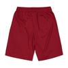 Puma Childrens/Kids Team Logo Football Shorts