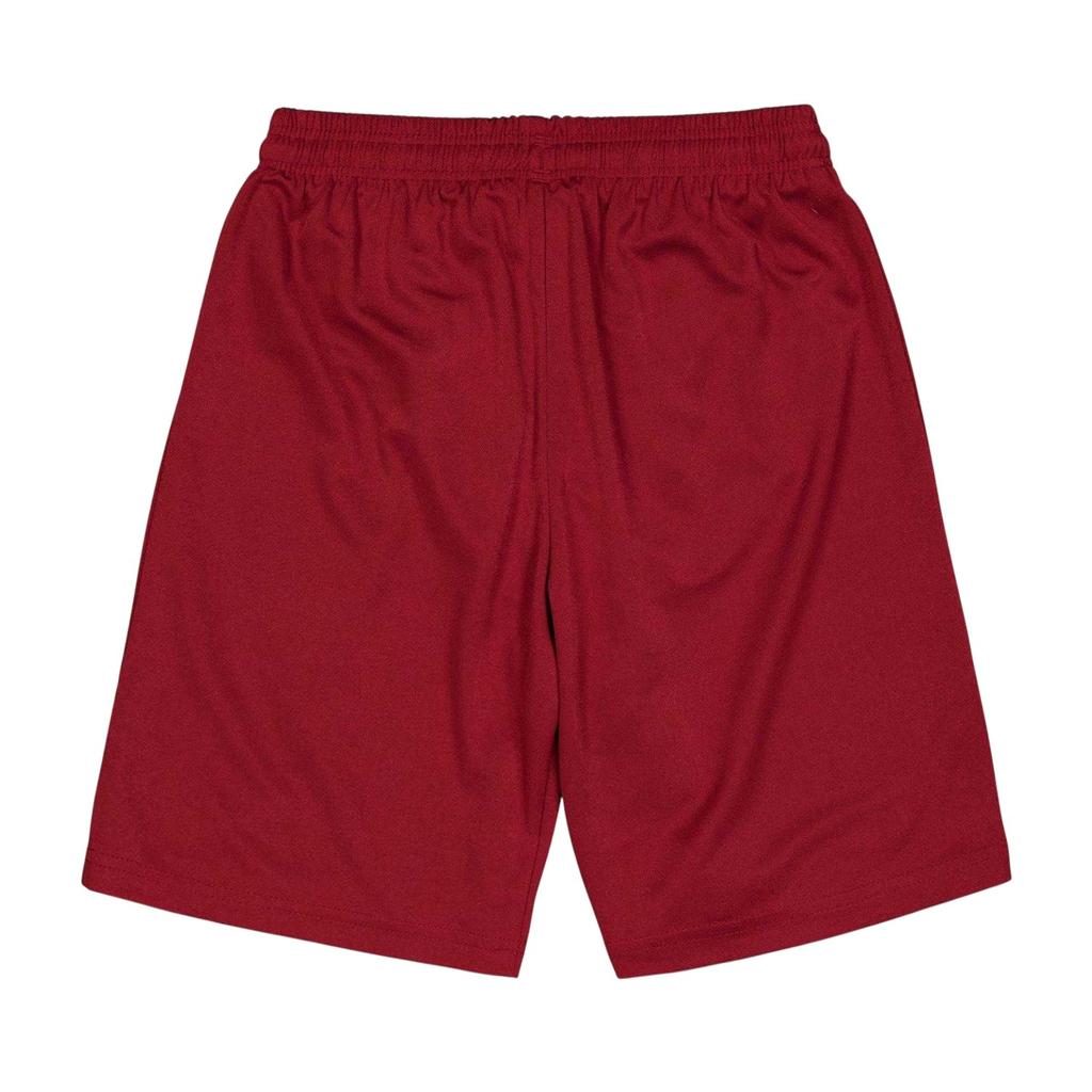 Puma Childrens/Kids Team Logo Football Shorts