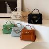 French Niche Design Stone Pattern Bag Women's 2024 Spring New Texture Handbag Retro Fashion Messenger Bag