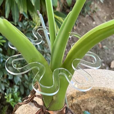 Monstera Plant Support Holder Reusable Flower Shape Plant Grapple Stem Holder Monstera