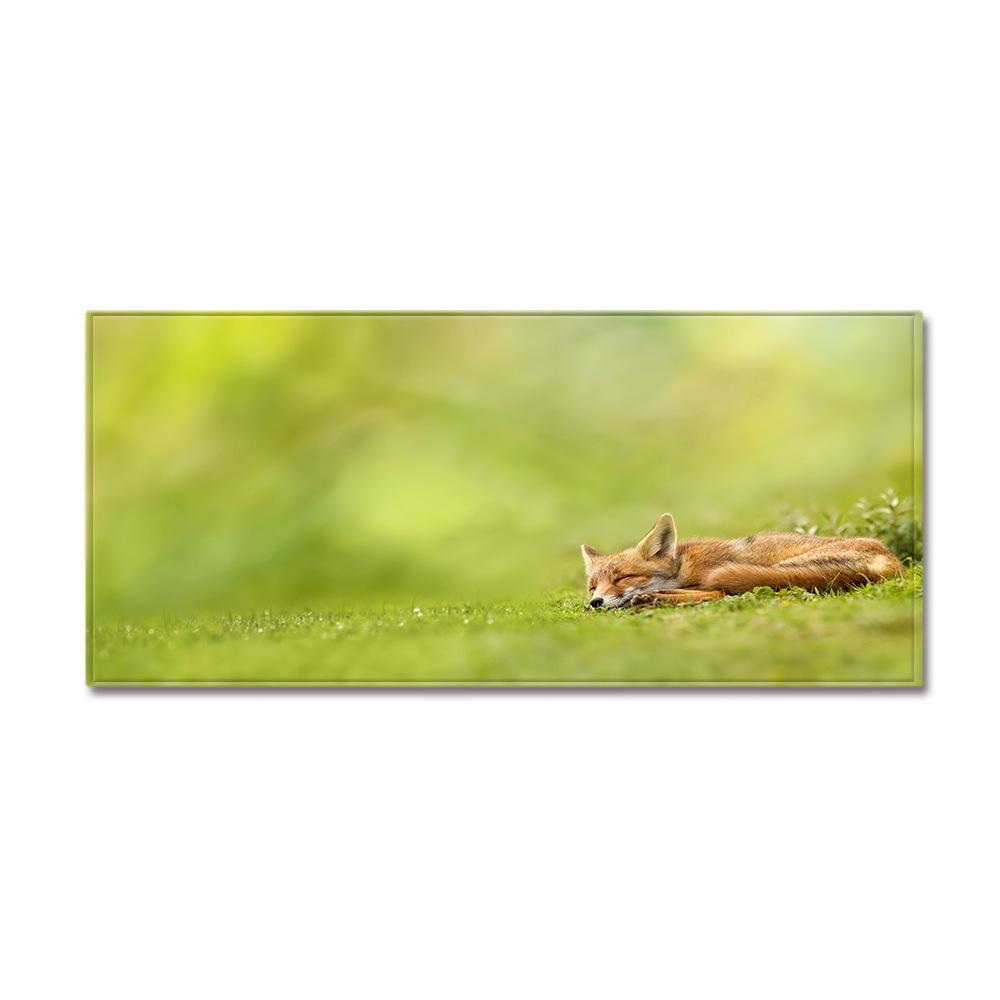 Animal Sand Wardrobe Shoe Cabinet Long Floor Mat