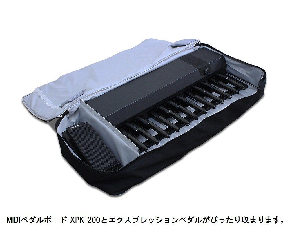HAMMOND Soft case for Hammond stage keyboard SKX/SK2 SC-SK2