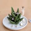 Eco-friendly Durable Ceramic Jewelry Holder for Necklace Earring Hand Chain Bracelets Decorative Dish Organizer Home Decor Gift
