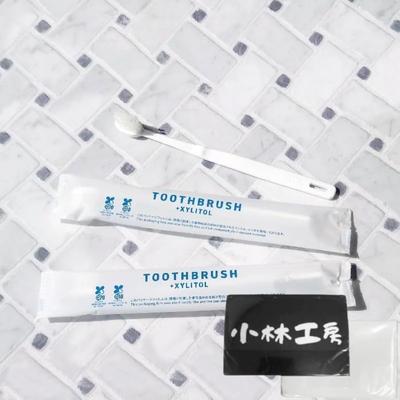 Disposable Toothbrush Made In Japan with Liquid Toothpaste Case 400 Pieces Pocket Tissue Set (xylitol)