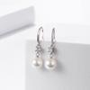 S925 Sterling Silver Pearl Earrings and Earrings for Women's Minimalist Temperament with Diamond Embedding Long Beizhu Earrings Fashion Jewelry