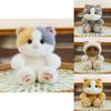 Siamese Cat Plush Toy With Pp Cotton Filling For Gift And Collection
