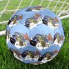 Moomin Theme Size 5 Soccer Ball, Suitable for Both Indoor and Outdoor Matches, a Gift Suitable for Everyone.