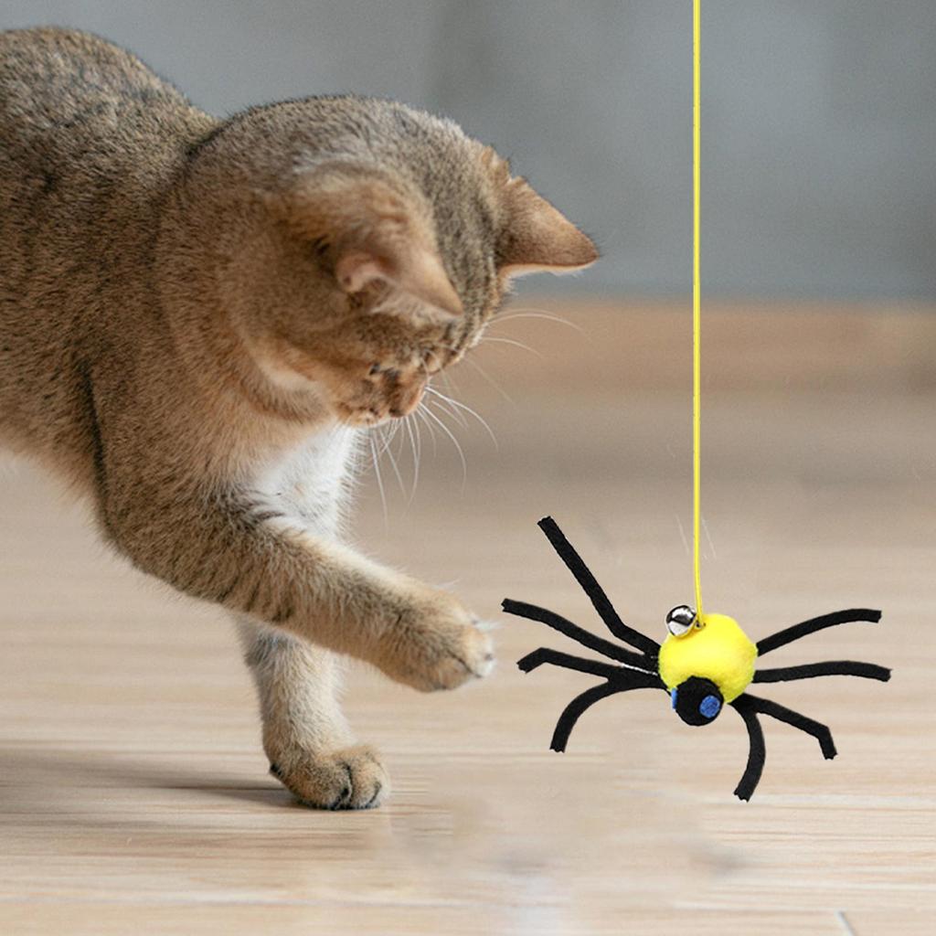 Cat Door Toy Hangable Fake Spider Game Elastic String Stimulating Cat Toys For Puppy Kitten Small Medium Large Breed Pet
