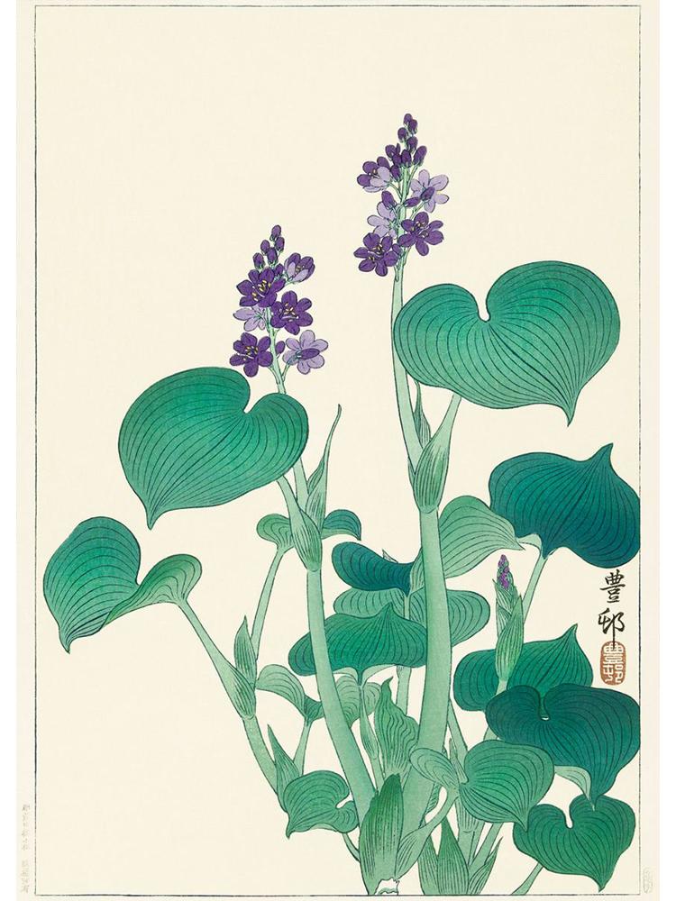 Japan Artist Ohara Koson Classic Artwork Poster Canvas Painting Monkey Goose Flower Birds Wall Art For Living Room Home Decor