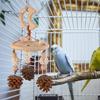 Fun Environment for Comprehensive Exercise Colorful Hanging Parrot Bird Toy Training Biting Chewing Accessory Handmade Intelligent Play Natural