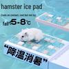 Hamster & Rabbit Summer Cooling Mat - Heat Dissipation Ice Pad for Small Pets