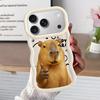 Soft Phone Cover Case for iPhone 18 13 15 Plus 11 8 14 17 Air 16 Pro Max 12 XR Capybara Cute Fashion