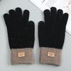 Winter Gloves with Velvet and Thickening Korean Style Cold-proof Cycling Touch Screen Knitted Gloves Warm Unisex Wool
