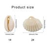 Pack of 100 Natural Seashells Charm Sea Shell Accessories for Handmade Bracelets and Necklaces Jewelry Components