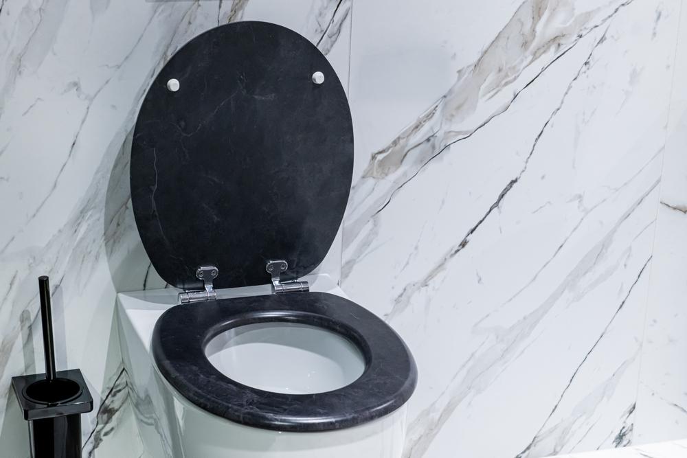 ARONA MDF TOILET SEAT
