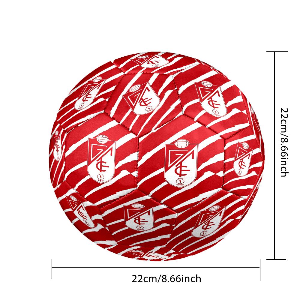 Global Unity And Strength Size 5 Soccer Ball,Indoor/Outdoor Suitable for Training Matches Tournaments Practice Games Perfect Gift for Fan