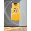 Basketball Jersey,mesh Basketball Shirt,athletic Basketball Top,team Basketball Uniform Top