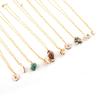 Natural Shell Series Jewelry Cute Style Small And Fresh Shell Pendant Necklace Female Personality Clavicle Chain