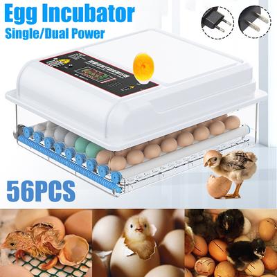 Máquina de Eclosão Totalmente Automática para 56 Ovos Incubadora Criadeira para Pintos de Fazendeiro com Virador Automático Controle Inteligente 220V