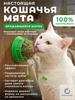 Green Rotating Stick for Cats, Interactive Toy for Chewing and Play
