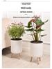 Tall Indoor Self-Watering Plastic Planter with Stand - Large Size, Breathable for Balcony Gardening