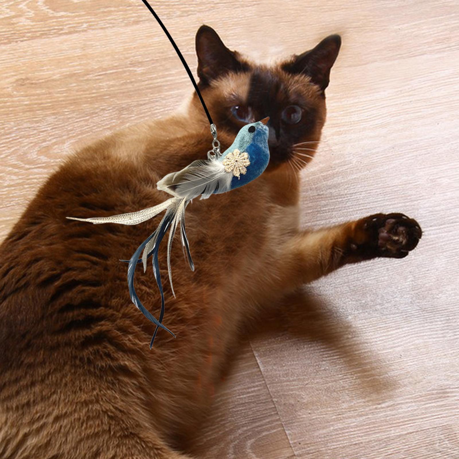 

Interactive Cat Toy Interactive Cat Toys Bird Teaser Wand Wand Handheld Wall Mount Natural Bird Kitten Accessories Indoor Games CHINA