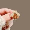 2024 Women's High-Grade Anti-Exposure Brooch: Stylish, Niche Design Clothes Pin.